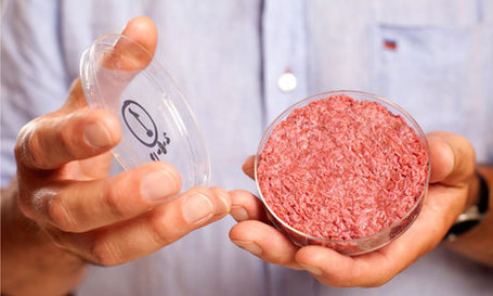 synthetic hamburger